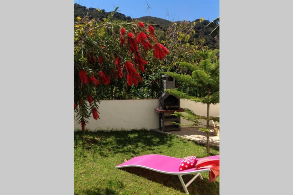 Apartment La Pena Rojo Wifi Tarifa Dış mekan fotoğraf