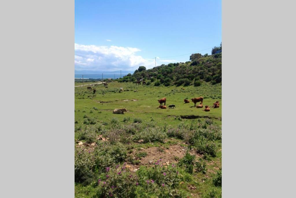 Apartment La Pena Rojo Wifi Tarifa Dış mekan fotoğraf