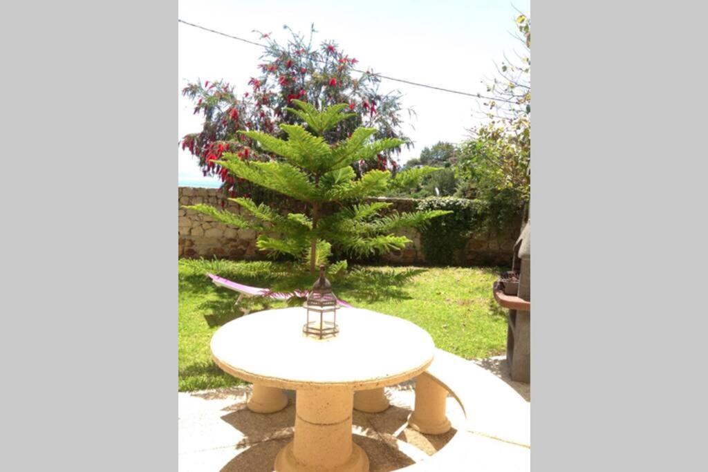 Apartment La Pena Rojo Wifi Tarifa Dış mekan fotoğraf